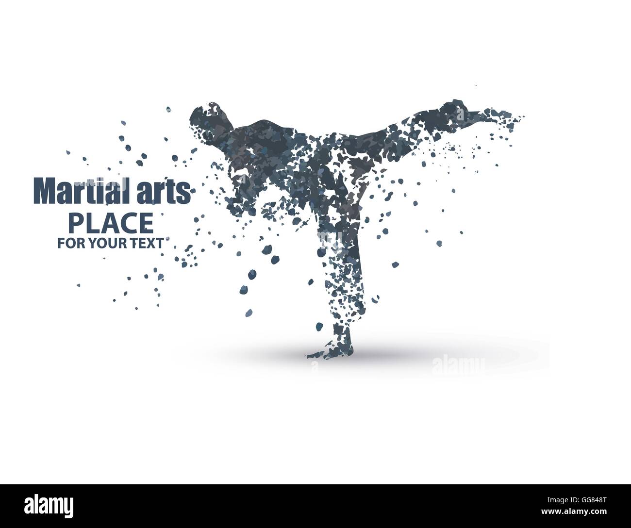 Silhouette of a karateka doing standing side kick Stock Vector Image