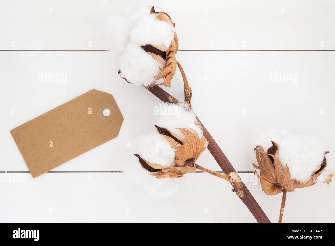 Gift tag on white background Stock Photo - Alamy