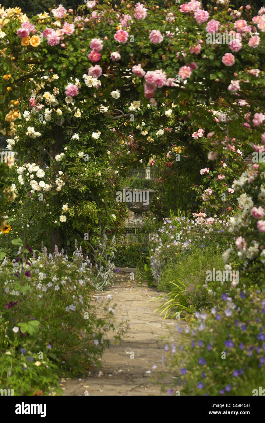 Rose Gardens of Burton Agnes Hall, Driffield, East Yorkshire Stock