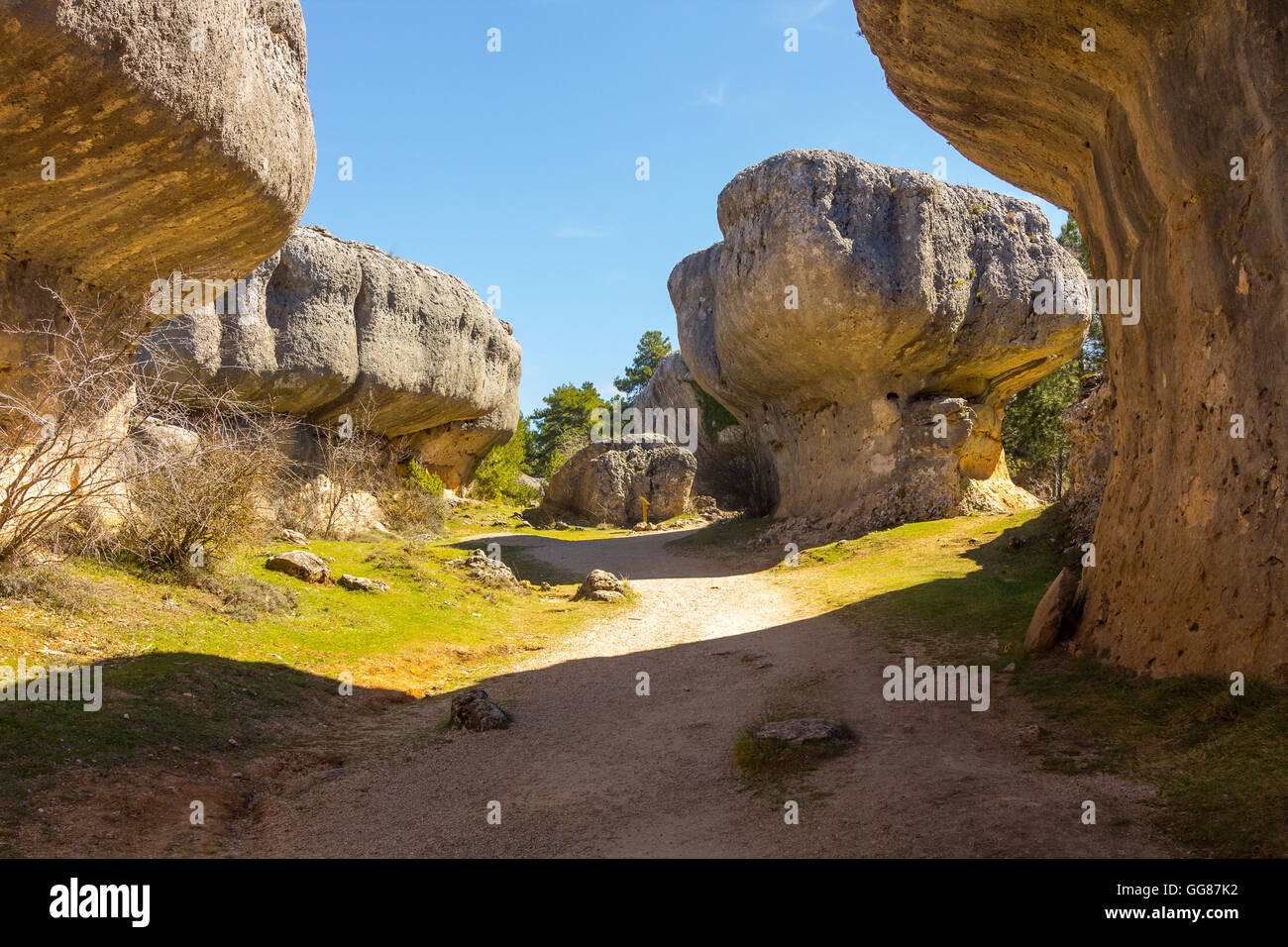 Capricious forms hi-res stock photography and images - Alamy