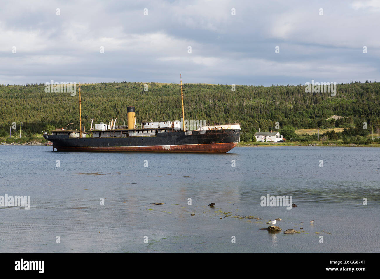 Harbour grace hires stock photography and images Alamy
