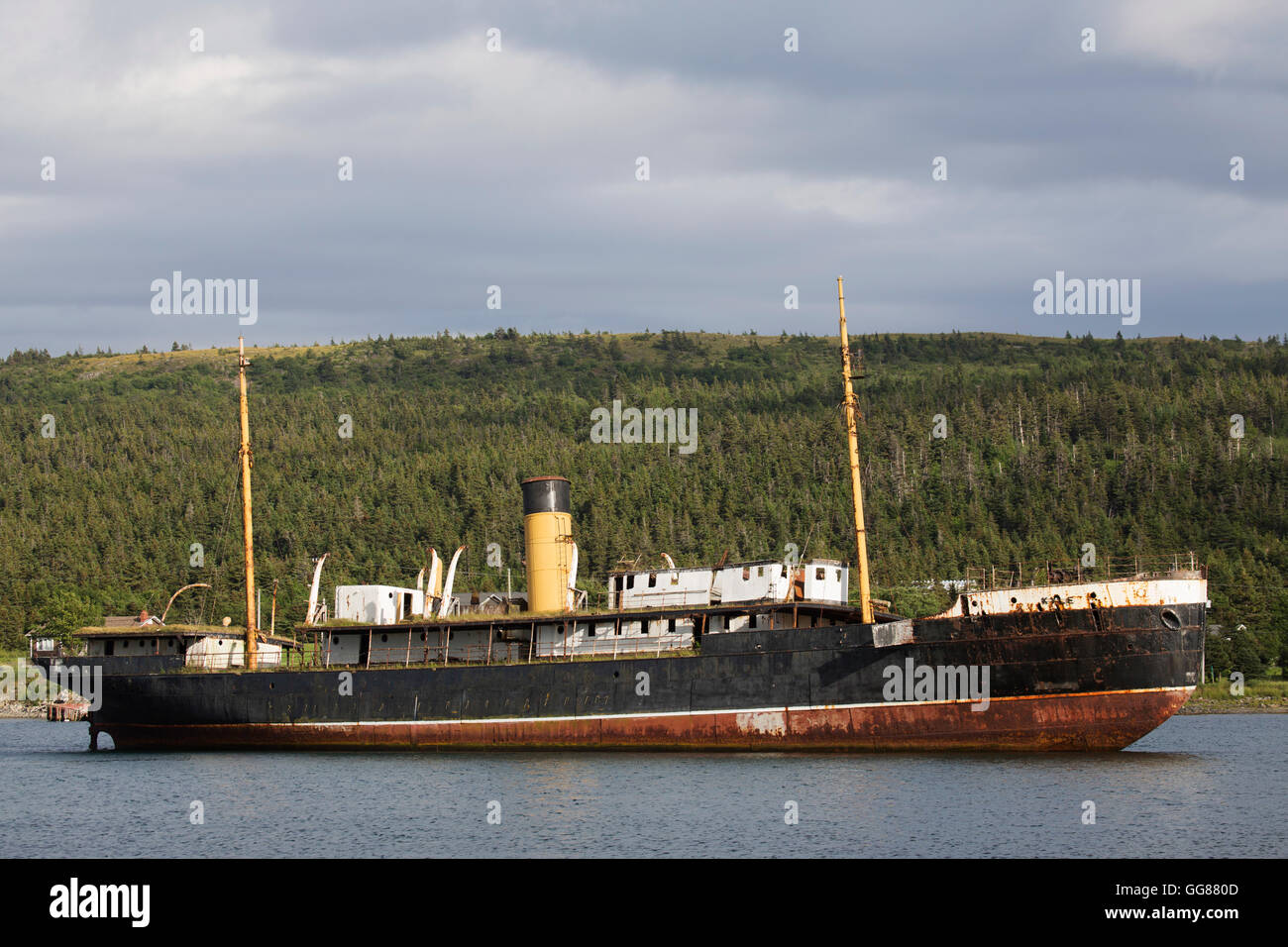 The grounded SS Kyle at Harbour Grace, Newfoundland, Canada. The ship ran aground in February