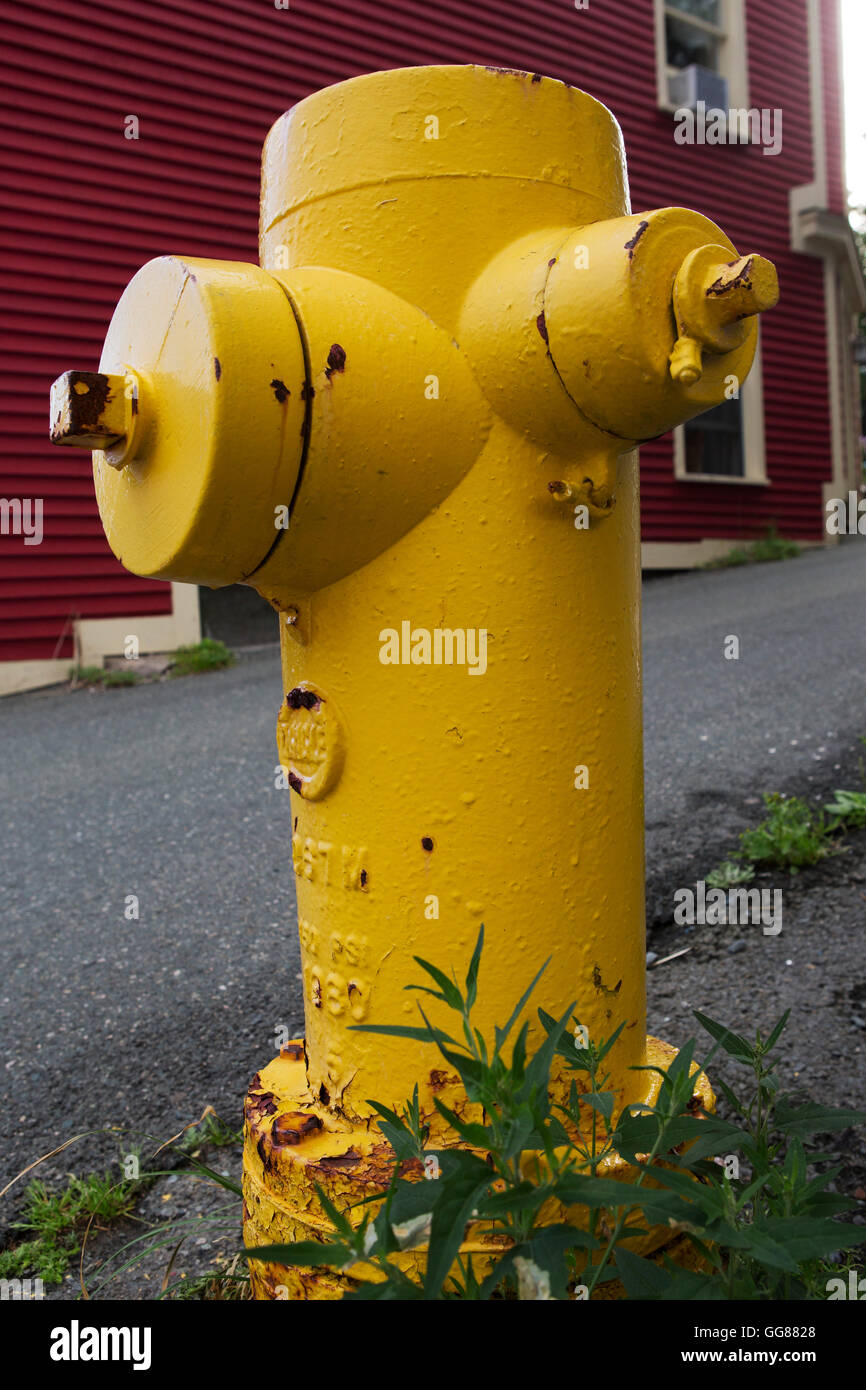 A fire hydrant on Gower Street in St John's, Newfoundland, Canada. The hydrant is painted yellow. Stock Photo