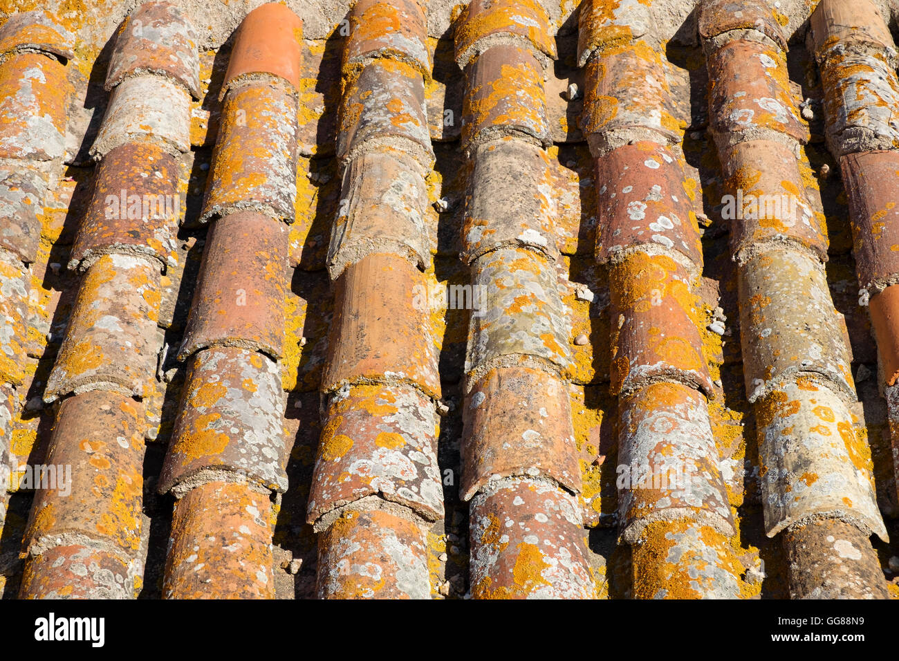 Terracotta roofing tiles Stock Photo