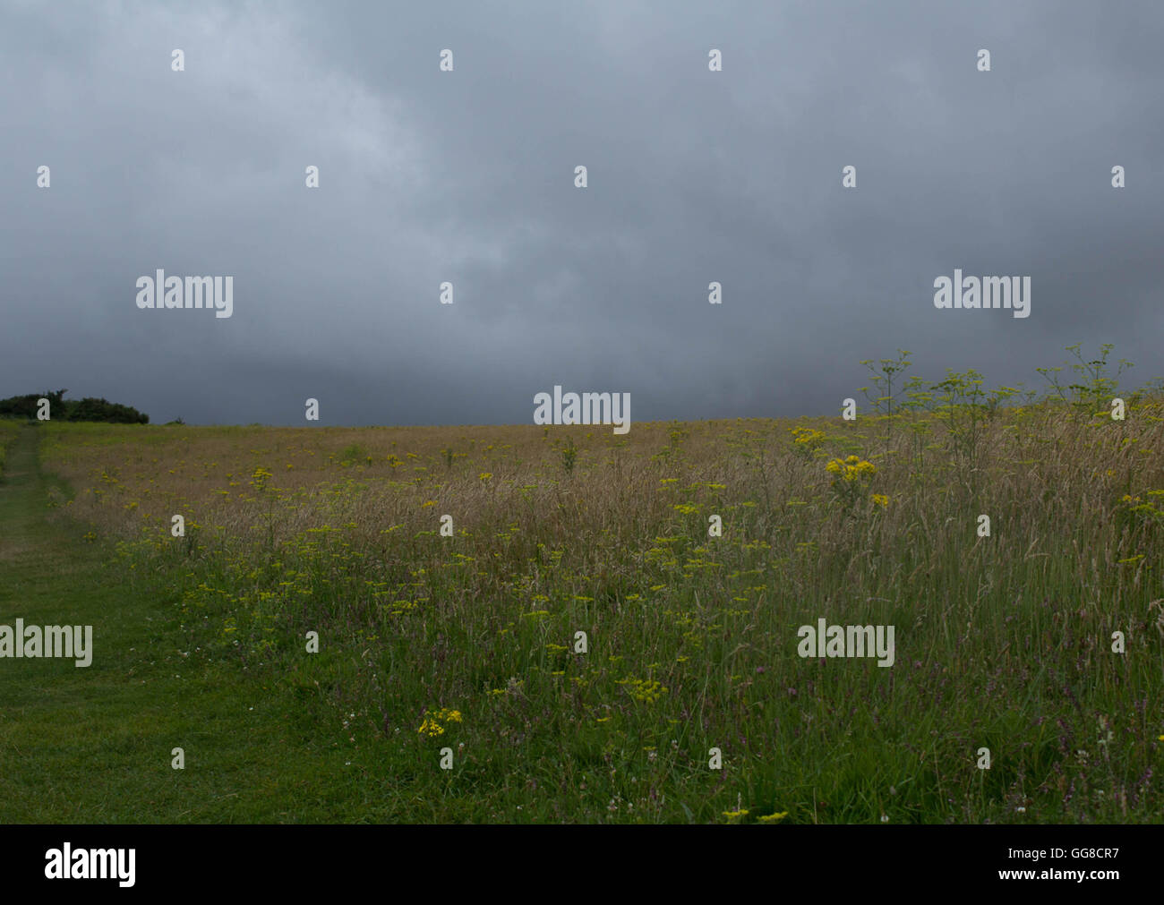 storm clouds above a field Stock Photo - Alamy