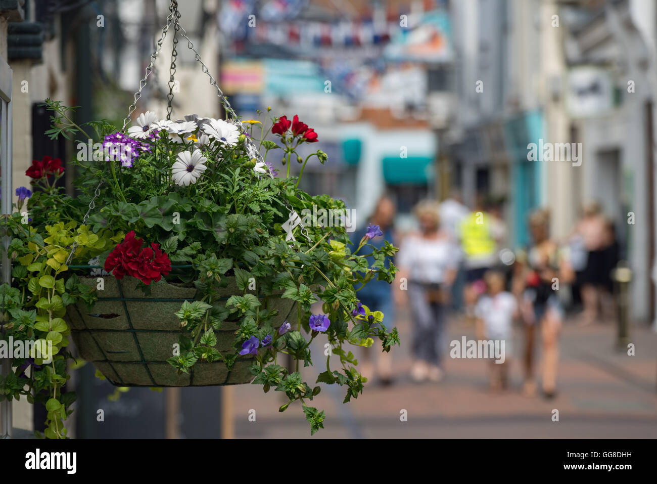 Isle of wight ferry flowers hires stock photography and images Alamy