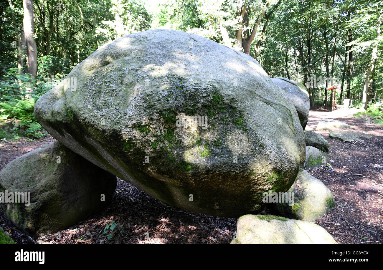 Werlte, Germany. 9th Aug, 2016. 'De Hoogen Stainer', the biggest stone graveyard of the Huemmling, photographed near Werlte, Germany, 9 August 2016. The region of Emsland and the state of Lower Saxony celebrate the recognition of the 'Huemmling' as the 14th natural park of the state with a ceremonial act at the Clemenswerth castle on 10 August 2016. PHOTO: CARMEN JASPERSEN/dpa/Alamy Live News Stock Photo