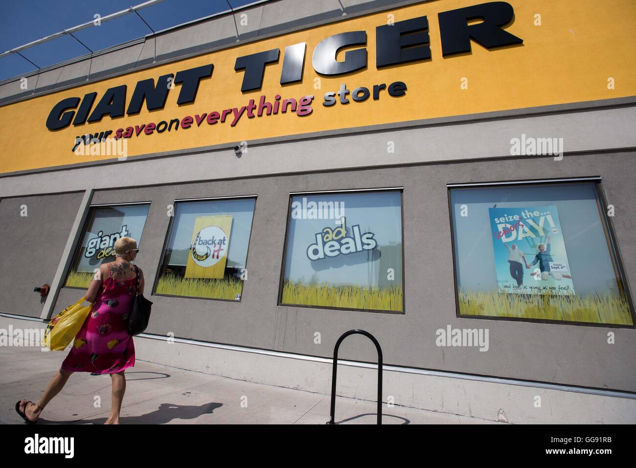 Giant tiger store hires stock photography and images Alamy
