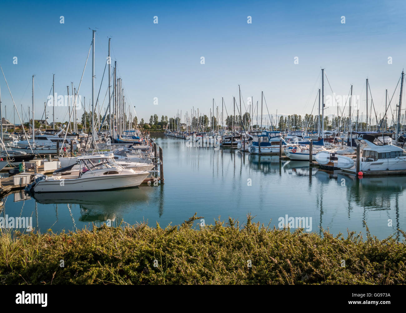 sail boats and yachts anchored in Point Roberts marina Washington State, USA Stock Photo