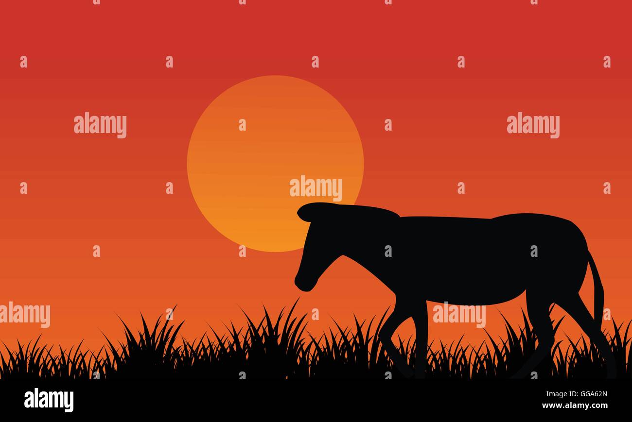 Silhouette of zebra scenery at afternoon Stock Vector Image & Art - Alamy