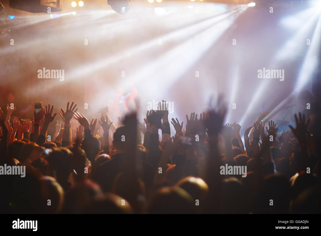 Crowd at concert Stock Photo