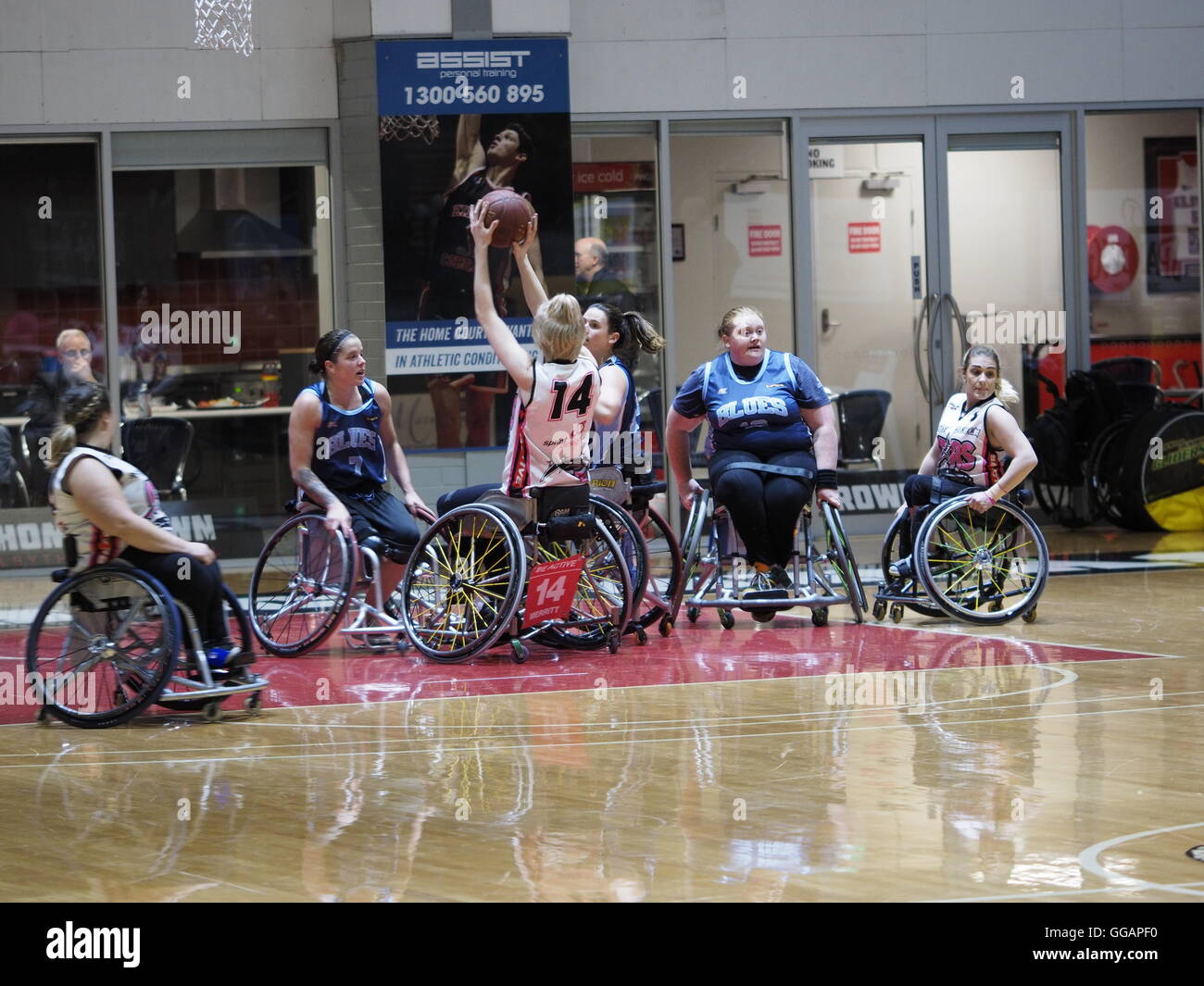 Womens National Wheelchair Basketball League 2016 Stock Photo Alamy