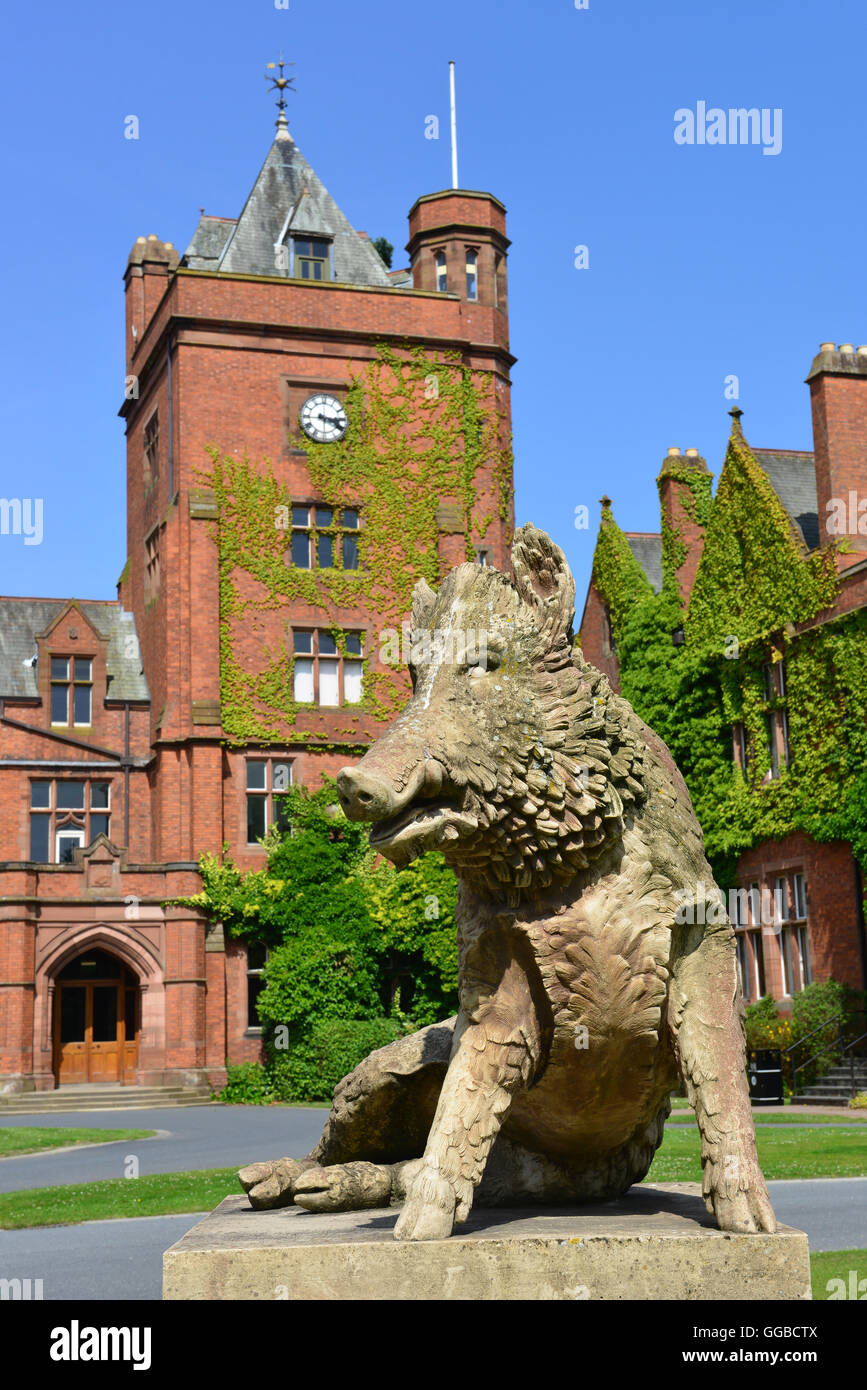 Boar statue in front of Campbell college, Belfast Stock Photo