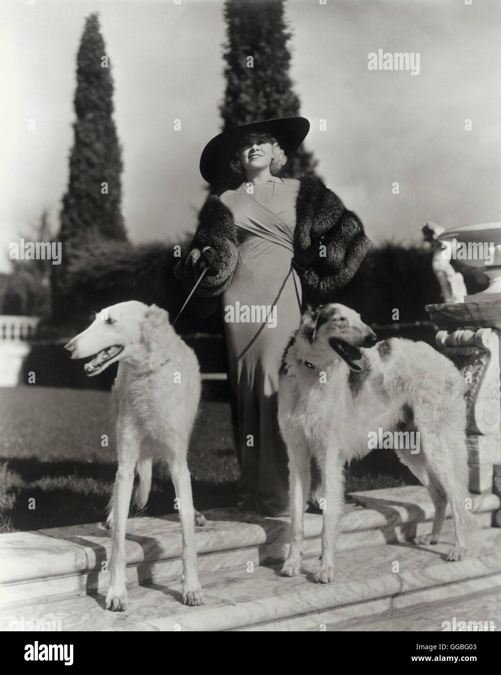 MAE WEST / MAE WEST with wolfhounds (1933) Stock Photo