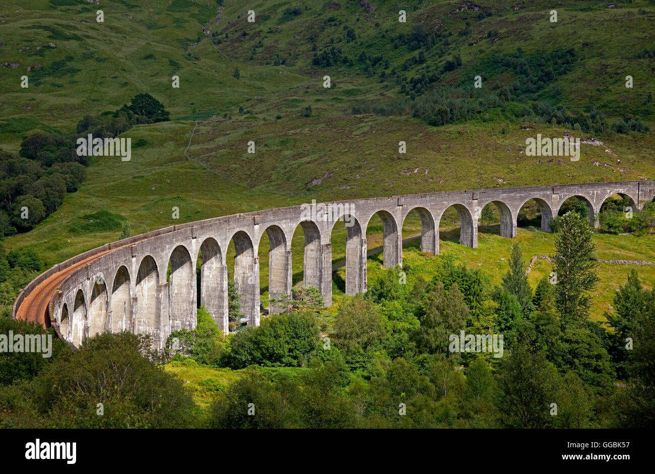 Glenfinnan Viaduct, Lochaber Scotland UK in sunshine Stock Photo