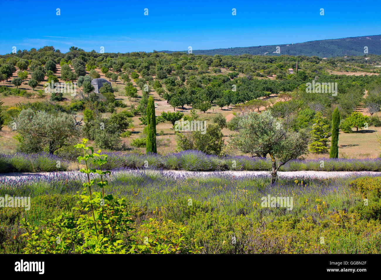 Landscape in Luberon, France Stock Photo