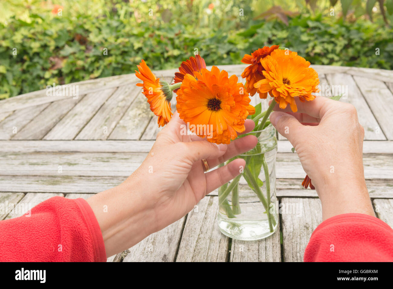 arranging pot marigolds in glass jam jar outside on garden table Stock Photo