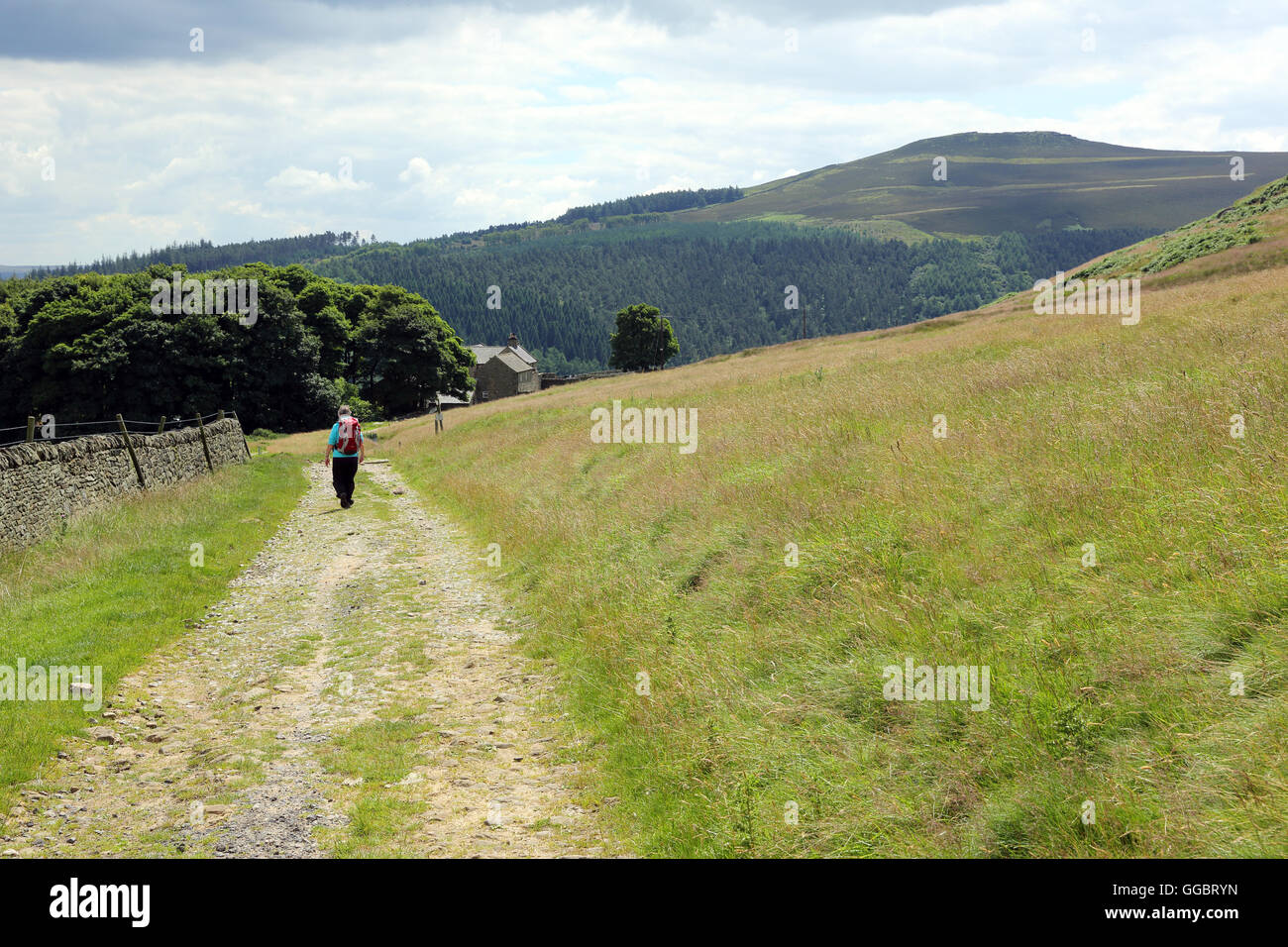 Female hiker walking along the path round Crook HIll, which can be seen rising to the right, in the Peak District, England, UK Stock Photo