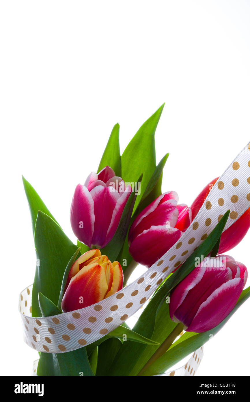 Bouquet of tulip flowers isolated on white Stock Photo - Alamy