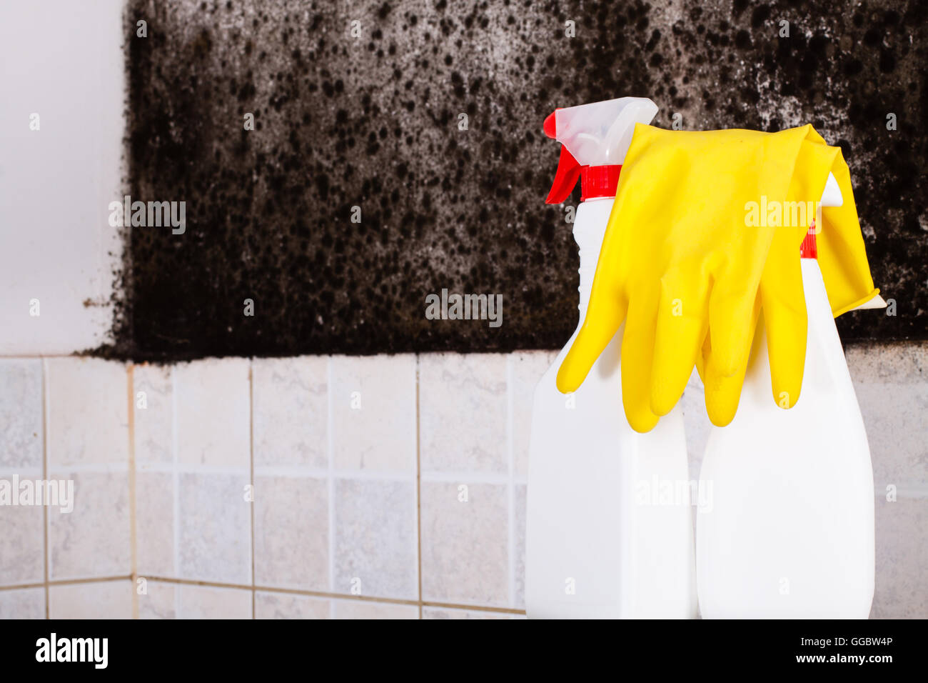 Preparation for the removal of mold and yellow gloves against the mold on wall. Stock Photo