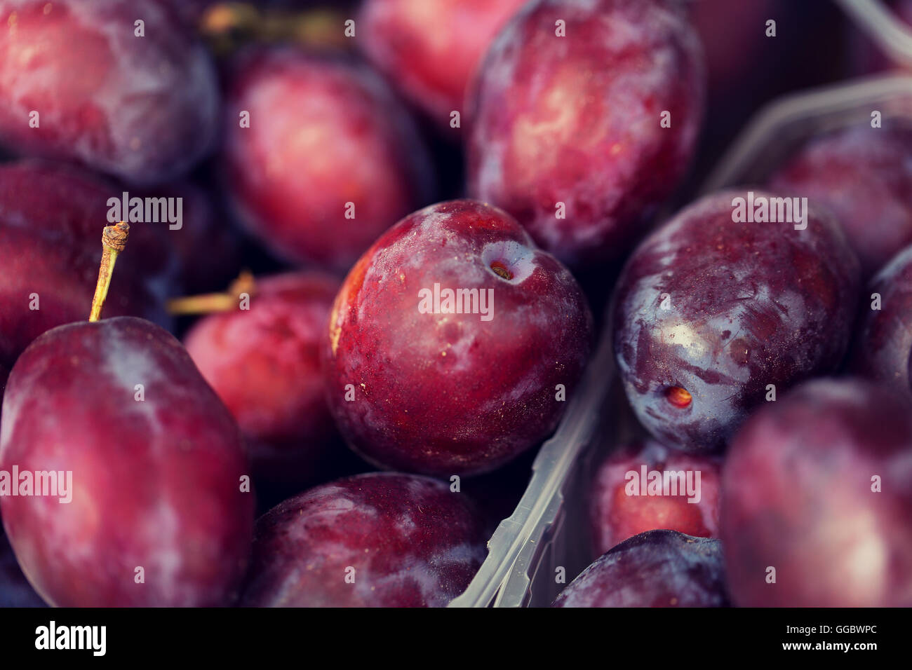 close up of satsuma plums in box at street market Stock Photo Alamy