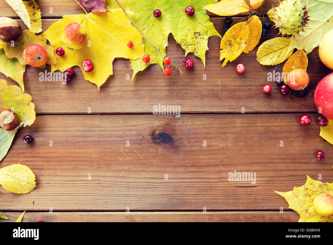 frame of autumn leaves, fruits and berries on wood Stock Photo - Alamy