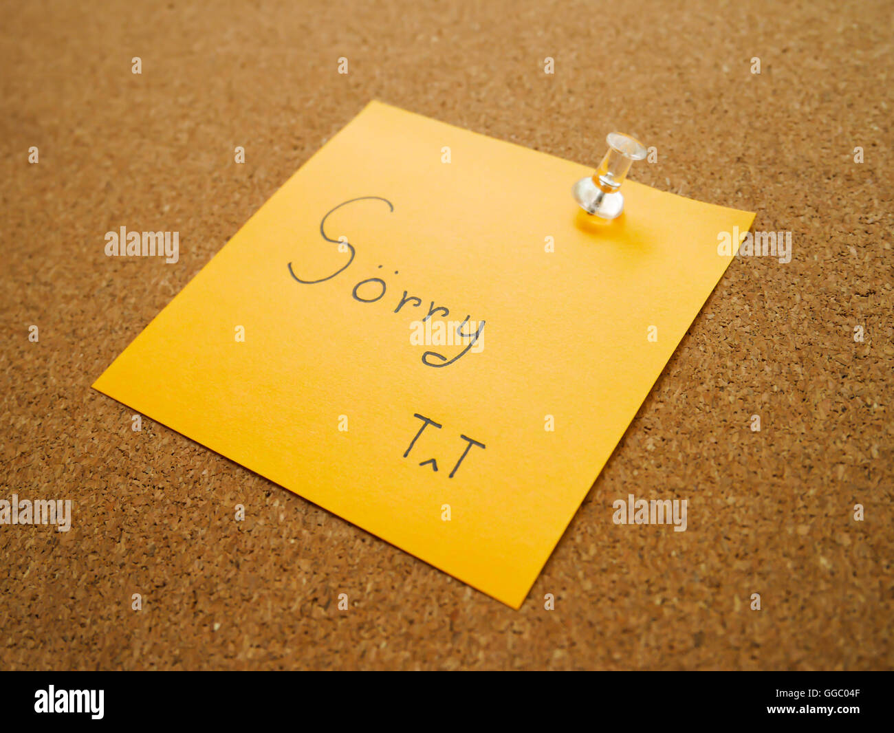 Sorry Text In Stock Photos Sorry Text In Stock Images Alamy
