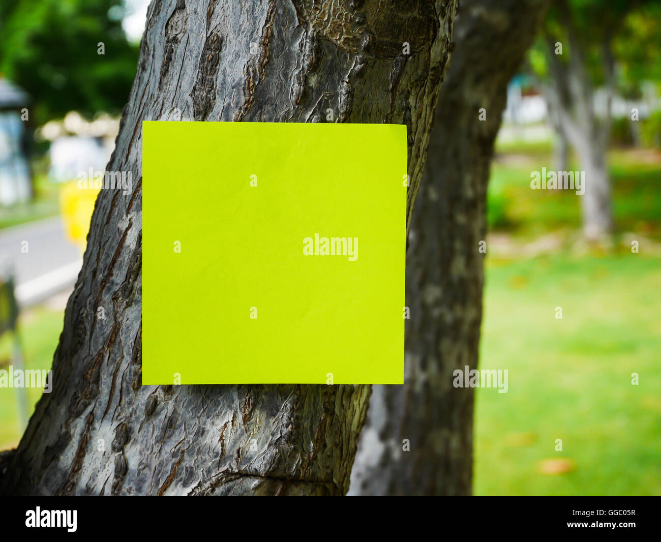 Close up green post note attach on old tree on blur grackground with ...