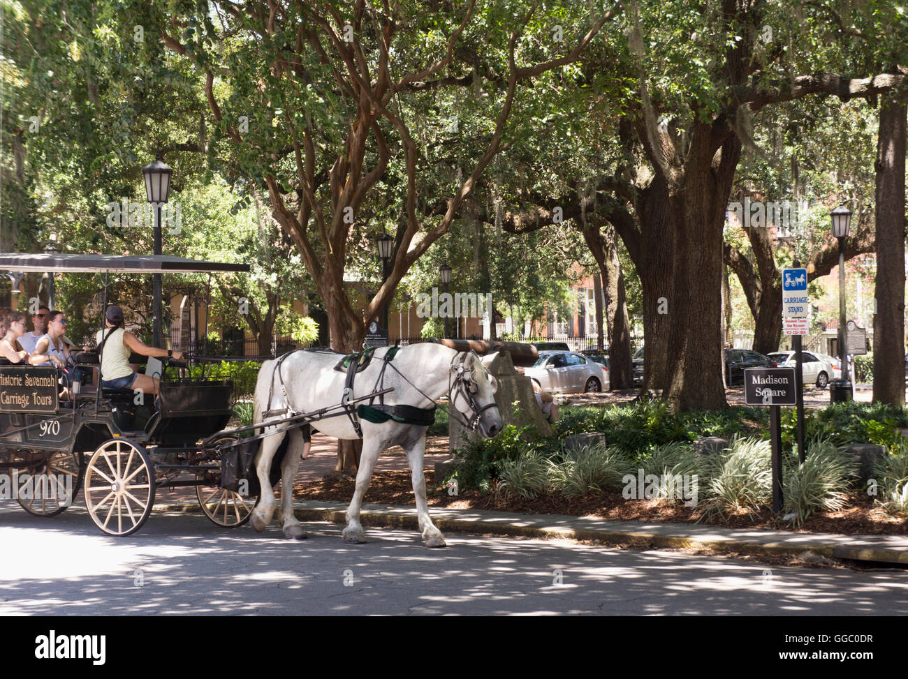 Savannah Georgia Historic Carriage Stock Photos Savannah Georgia