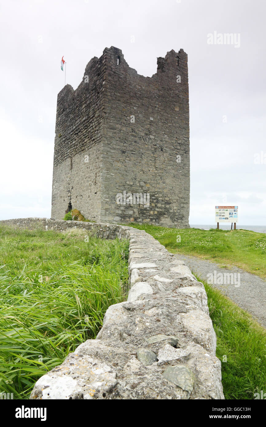 O'Dowd Castle at Easky, County Sligo, Ireland Stock Photo Alamy