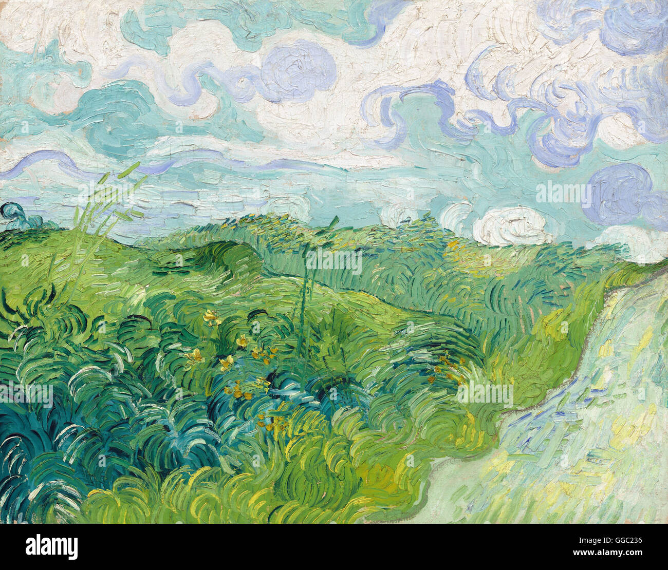 Green Wheat Fields, Auvers by Vincent Van Gogh Stock Photo