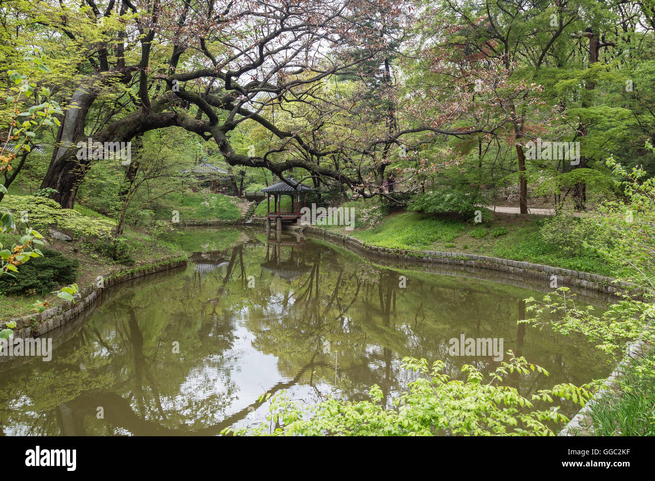 Scenic view of lush nature and a pond at Huwon (Secret Garden) at the Changdeokgung Palace in Seoul, South Korea. Stock Photo