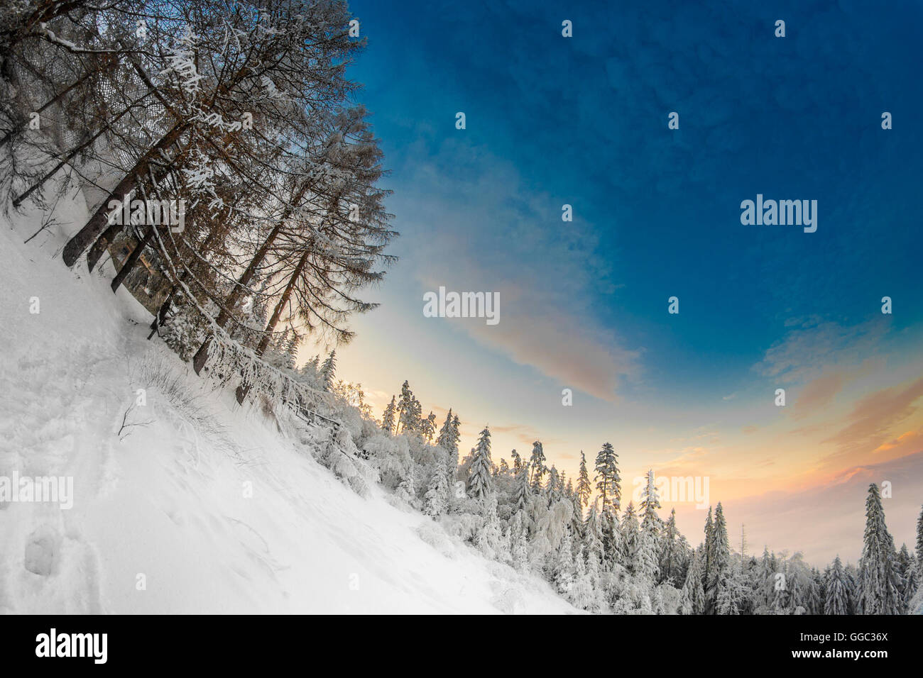 Beautiful winter sunrise photo taken in polish Beskidy mountains - Rogacz hill. View on Skrzyczne mountain. Stock Photo
