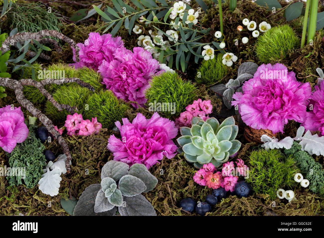 detail shot of an Australian floral display Stock Photo