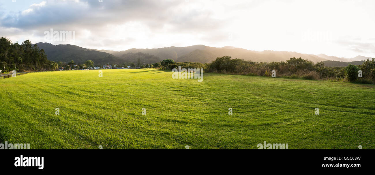 New Zealand green field sunrise Stock Photo Alamy