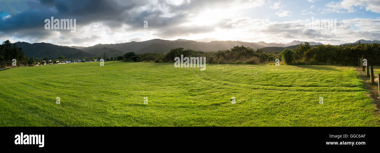 New Zealand green field sunrise Stock Photo - Alamy