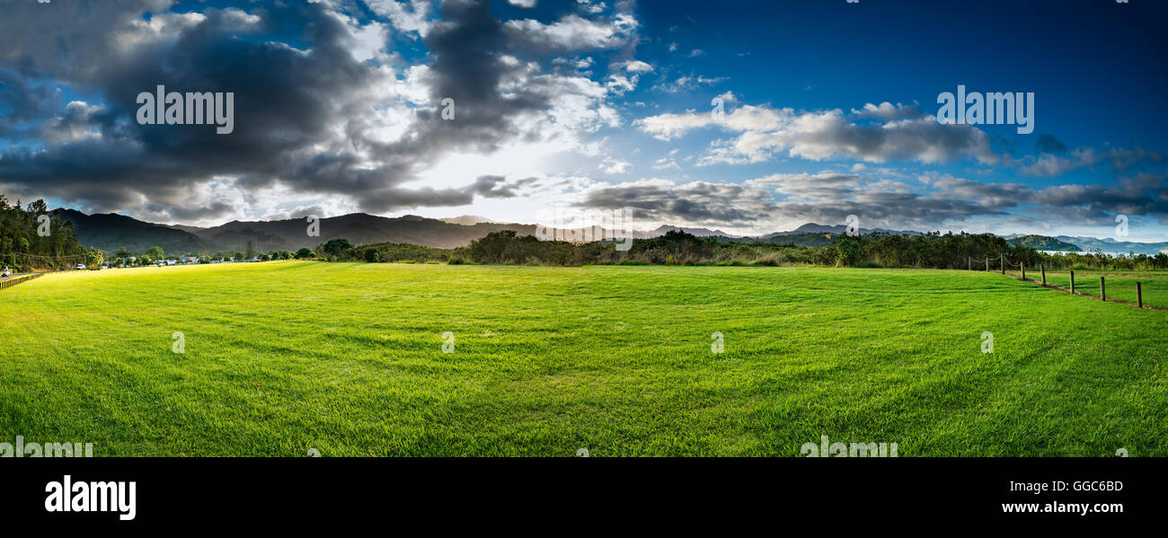 New Zealand green field sunrise Stock Photo Alamy