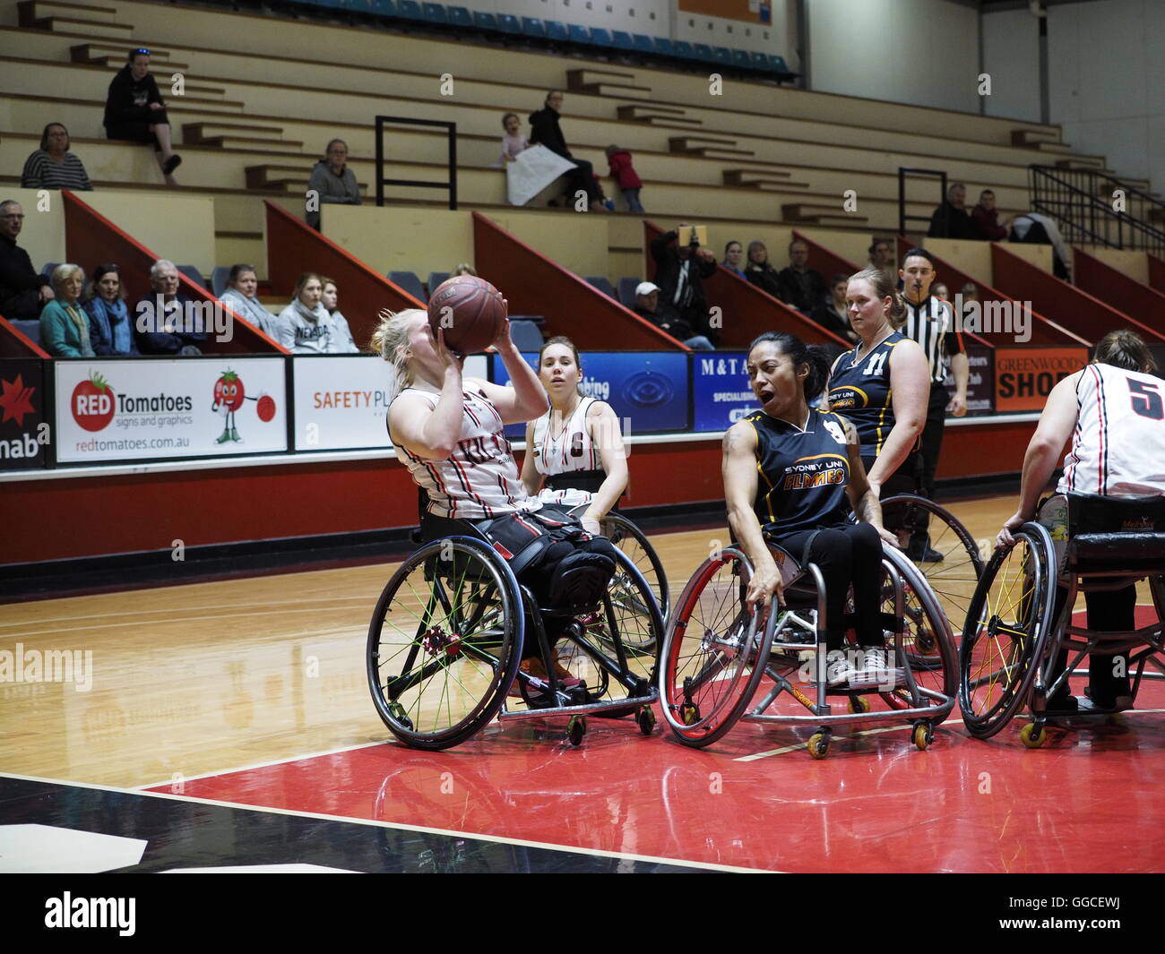 Womens National Wheelchair Basketball League 2016 Stock Photo Alamy