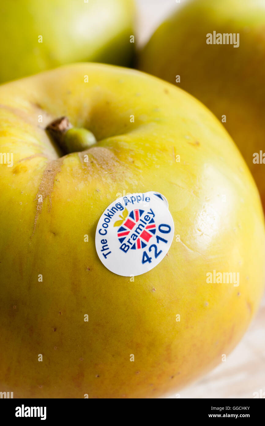 Bramleys seedling apples harvest hires stock photography and images