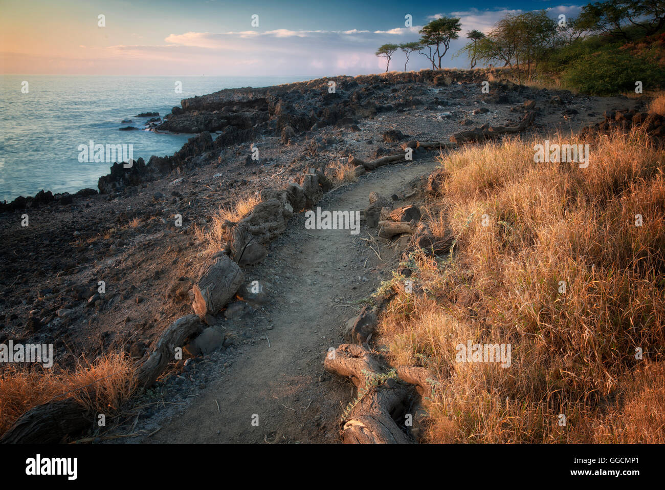 Path near Hapuna Beach, Hawaii, Island, The big island Stock Photo