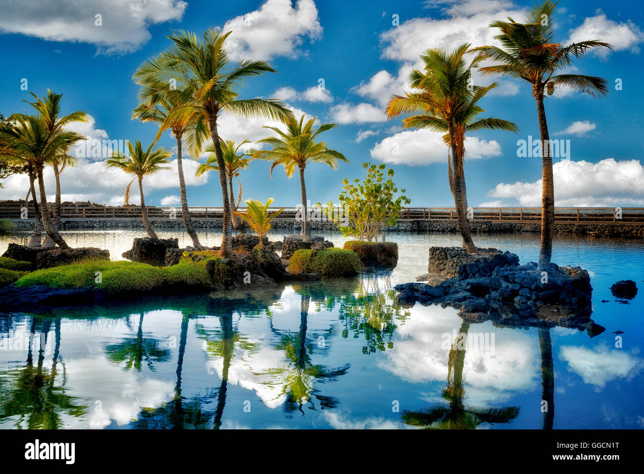 Palm trees reflecting in water of Lahuipua'a and Kaaiopio Ponds. Hawaii Island Stock Photo