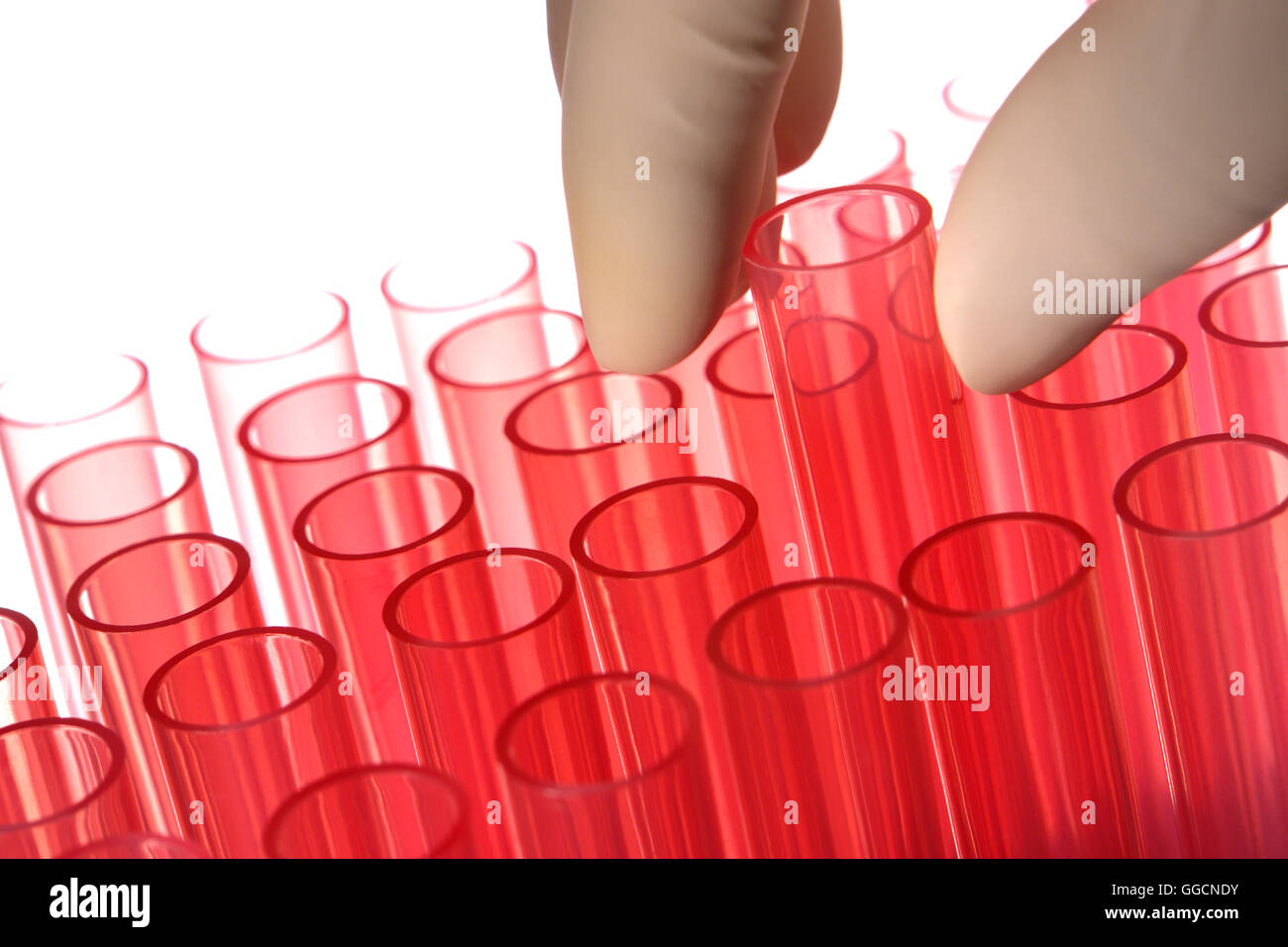 Scientist hand holding a laboratory plastic test tube with other red