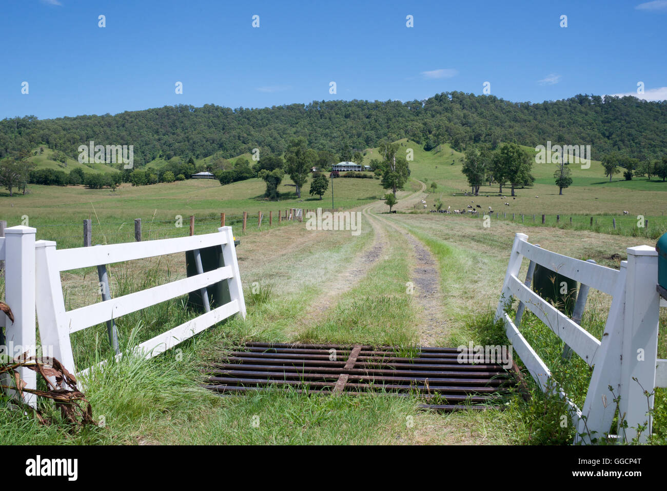 Cattle grid and entrance to property with beautiful large country house NSW Australia Stock Photo