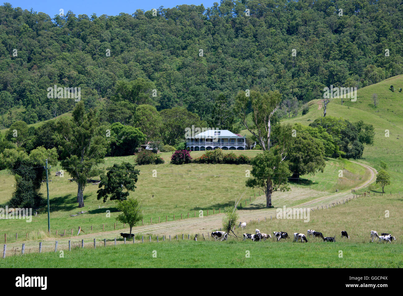 Property with beautiful large country house NSW Australia Stock Photo