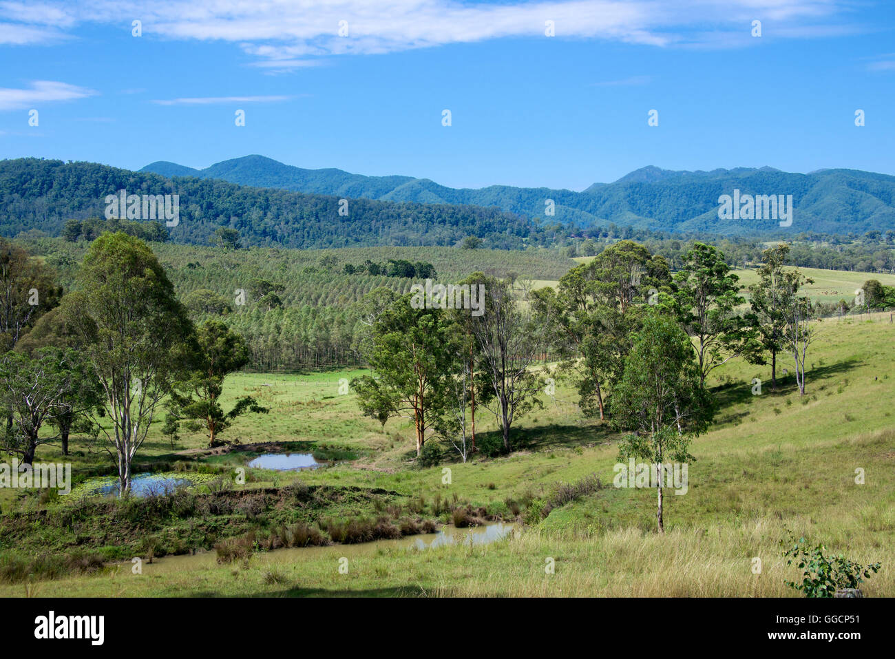 Rural landscape Northern NSW Australia Stock Photo