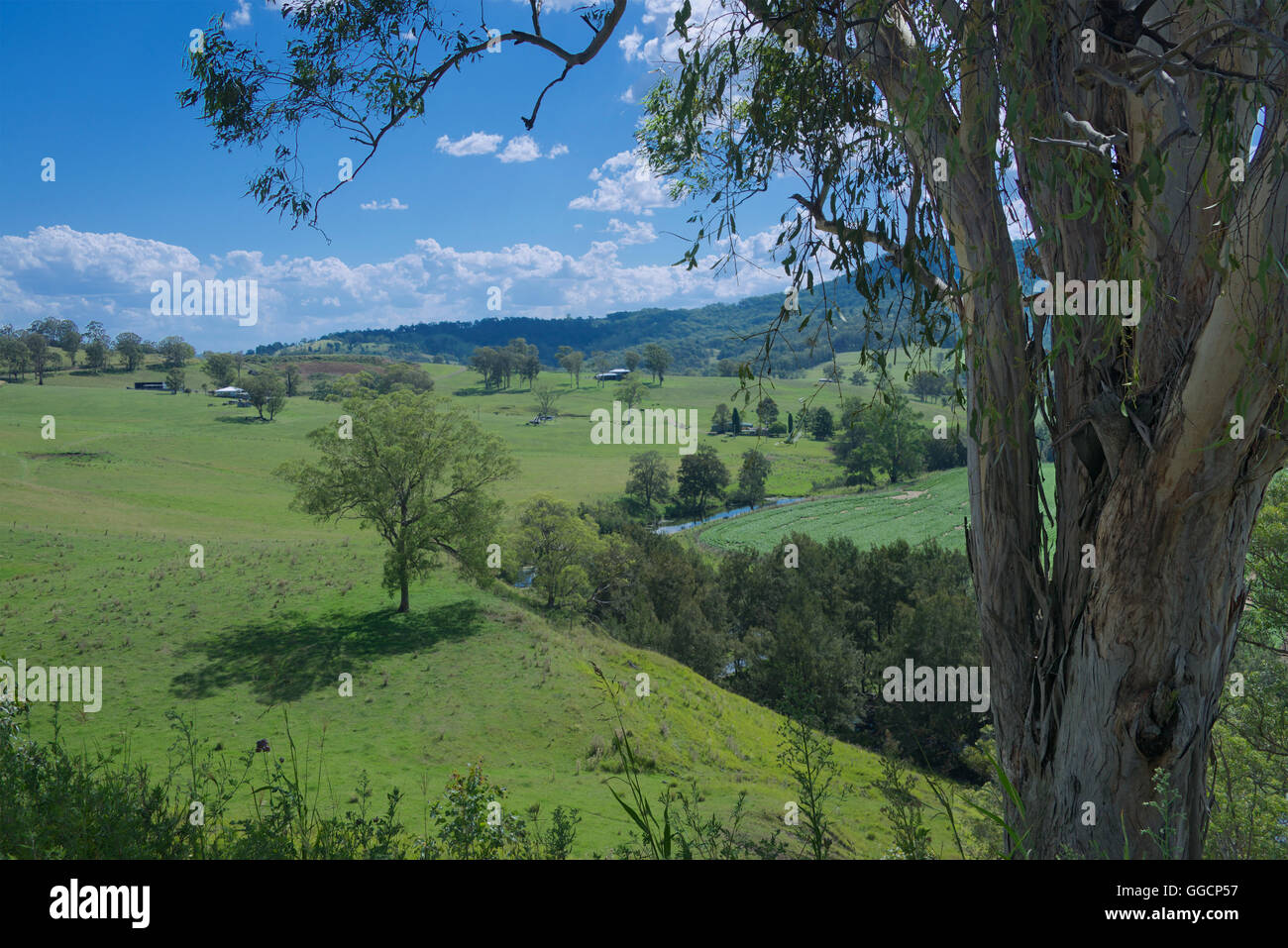 Rural landscape with Richmond River Northern NSW Australia Stock Photo