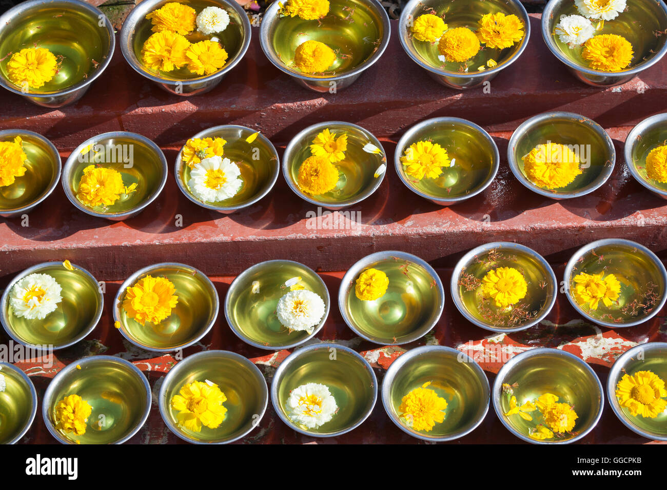 Bowls with saffron water and flowers at Boudhadhnath temple in Kathmandu, Nepal Stock Photo Alamy