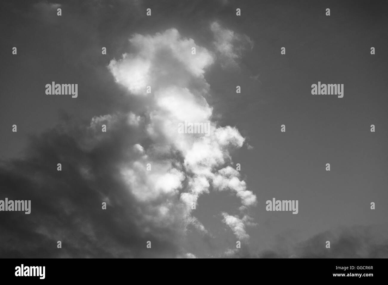 Creature in the Clouds Stock Photo