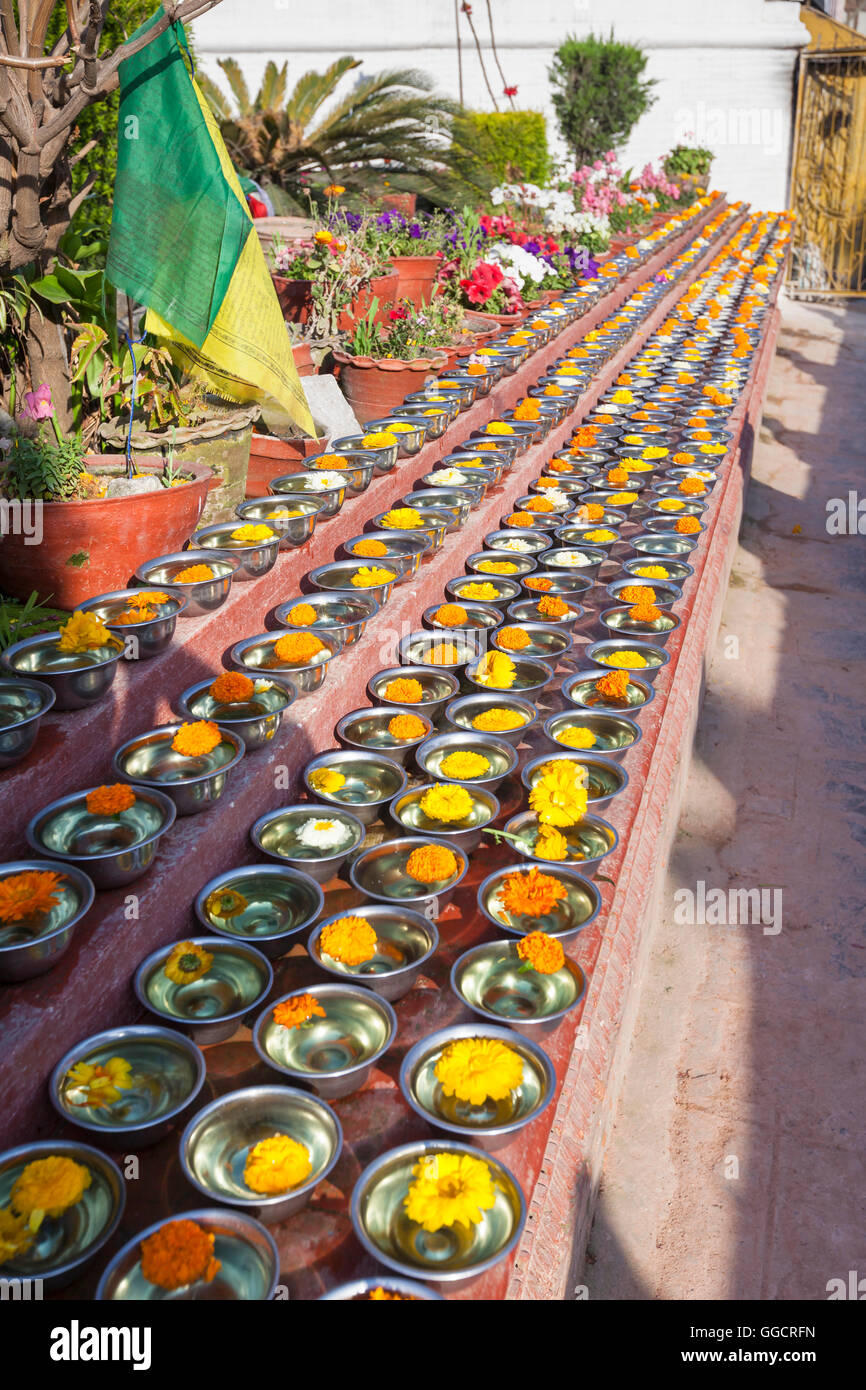 Bowls with saffron water and flowers at Boudhadhnath temple in Kathmandu, Nepal Stock Photo Alamy