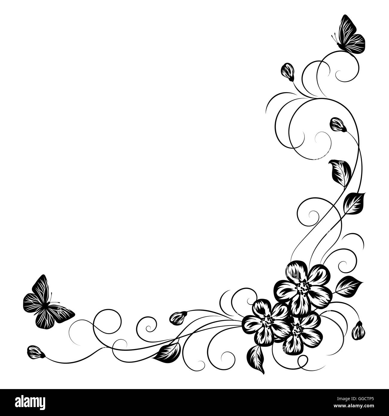 Plant and insect artwork Black and White Stock Photos & Images - Alamy